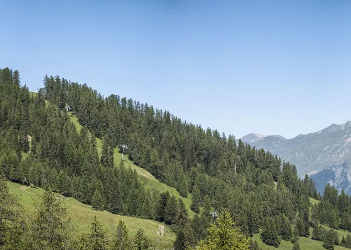 Résidence Pierre&vacances Premium Les Hauts Bois Aparthotel La Plagne